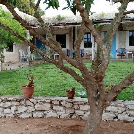 La Maison Essaouira Ξενοδοχείο Εξωτερικό φωτογραφία
