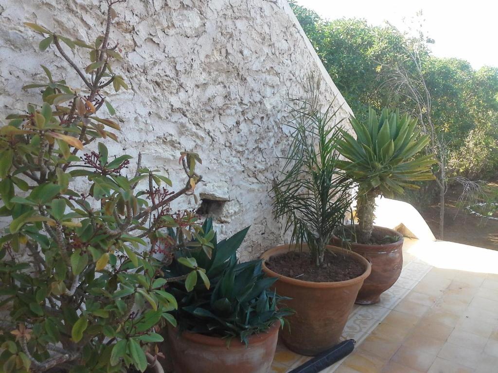 La Maison Essaouira Ξενοδοχείο Εξωτερικό φωτογραφία