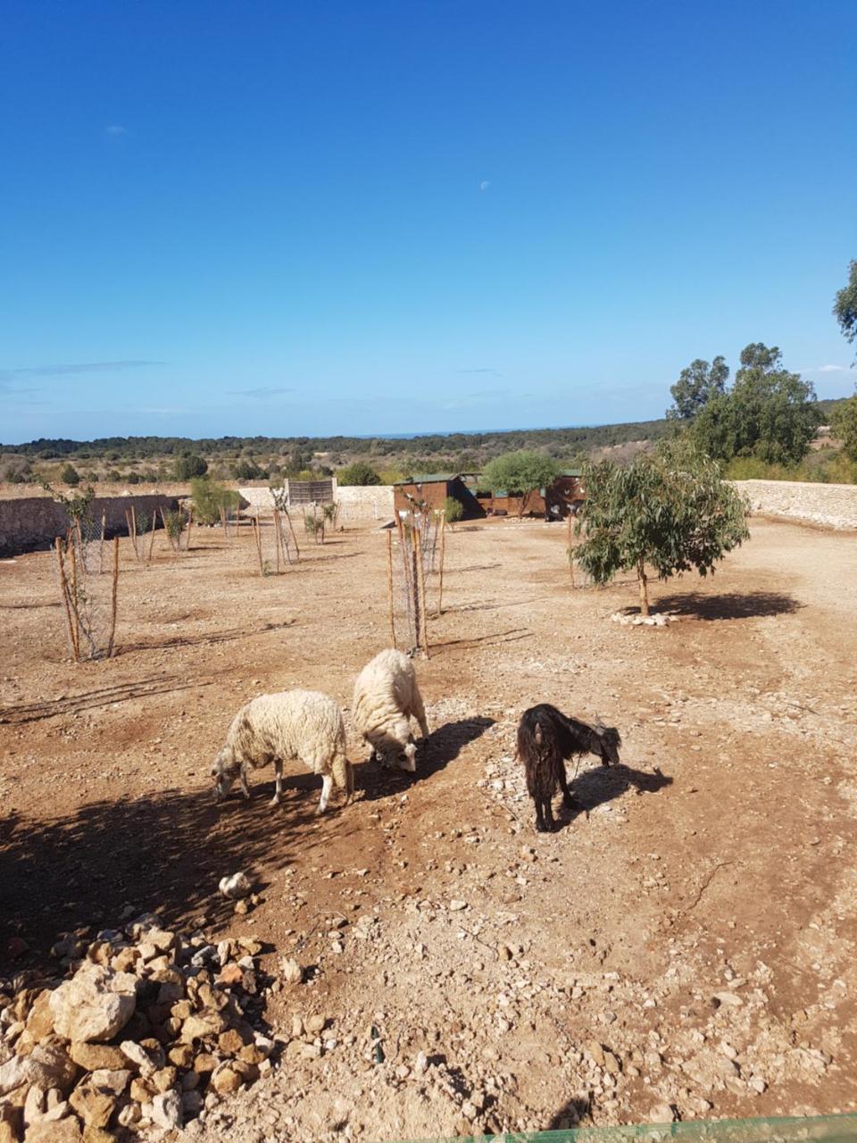 La Maison Essaouira Ξενοδοχείο Εξωτερικό φωτογραφία