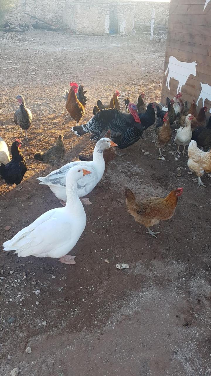La Maison Essaouira Ξενοδοχείο Εξωτερικό φωτογραφία