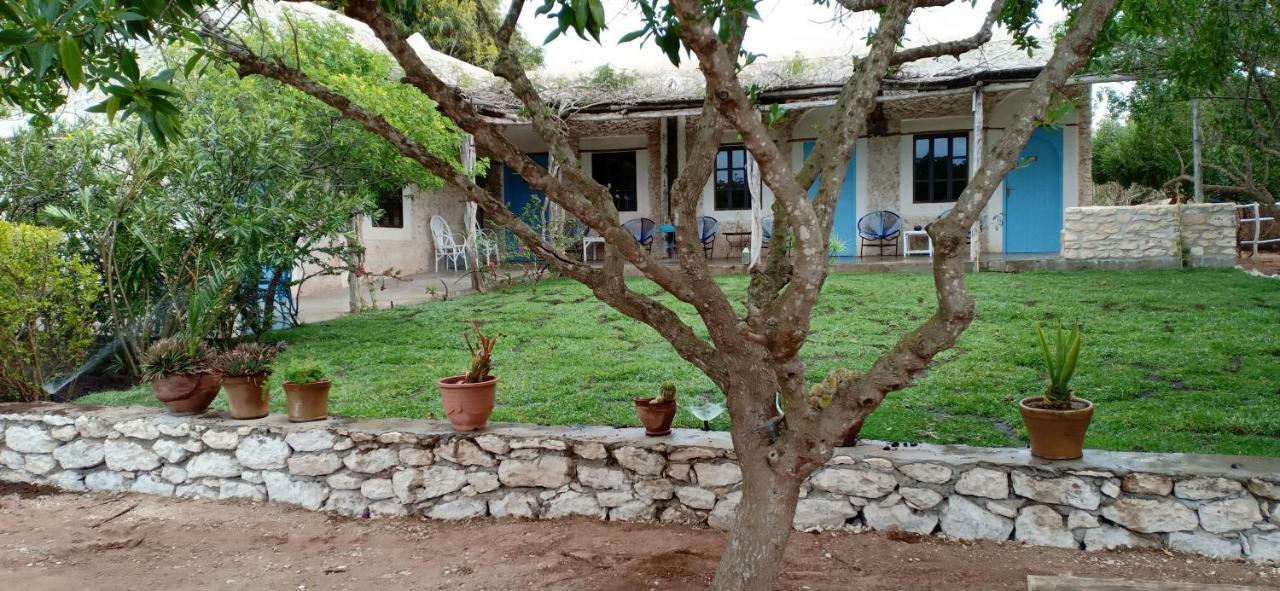 La Maison Essaouira Ξενοδοχείο Εξωτερικό φωτογραφία